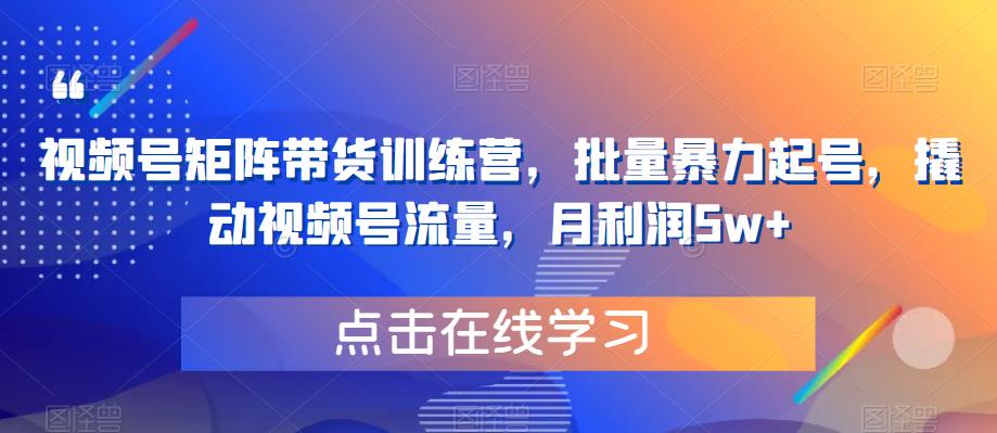 【副业项目6254期】视频号矩阵带货训练营，批量暴力起号，撬动视频号流量，月利润5w+缩略图