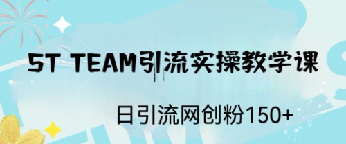 【副业项目6745期】ST TEAM引流实操课，日引流网创粉100+缩略图