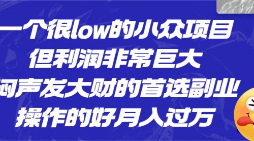 【副业项目6782期】一个很low的小众项目，但利润非常巨大，闷声发大财的首选副业，月入过万缩略图