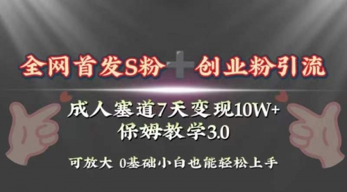 【副业项目8506期】成人用品赛道7天变现10w+保姆教学3.0缩略图