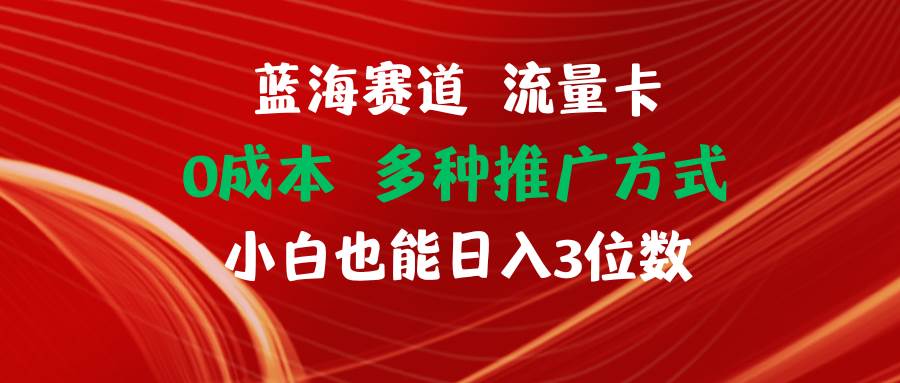 蓝海赛道 流量卡 0成本 小白也能日入三位数缩略图