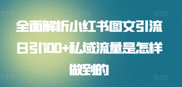 全面解析小红书图文引流日引100私域流量是怎样做到的缩略图